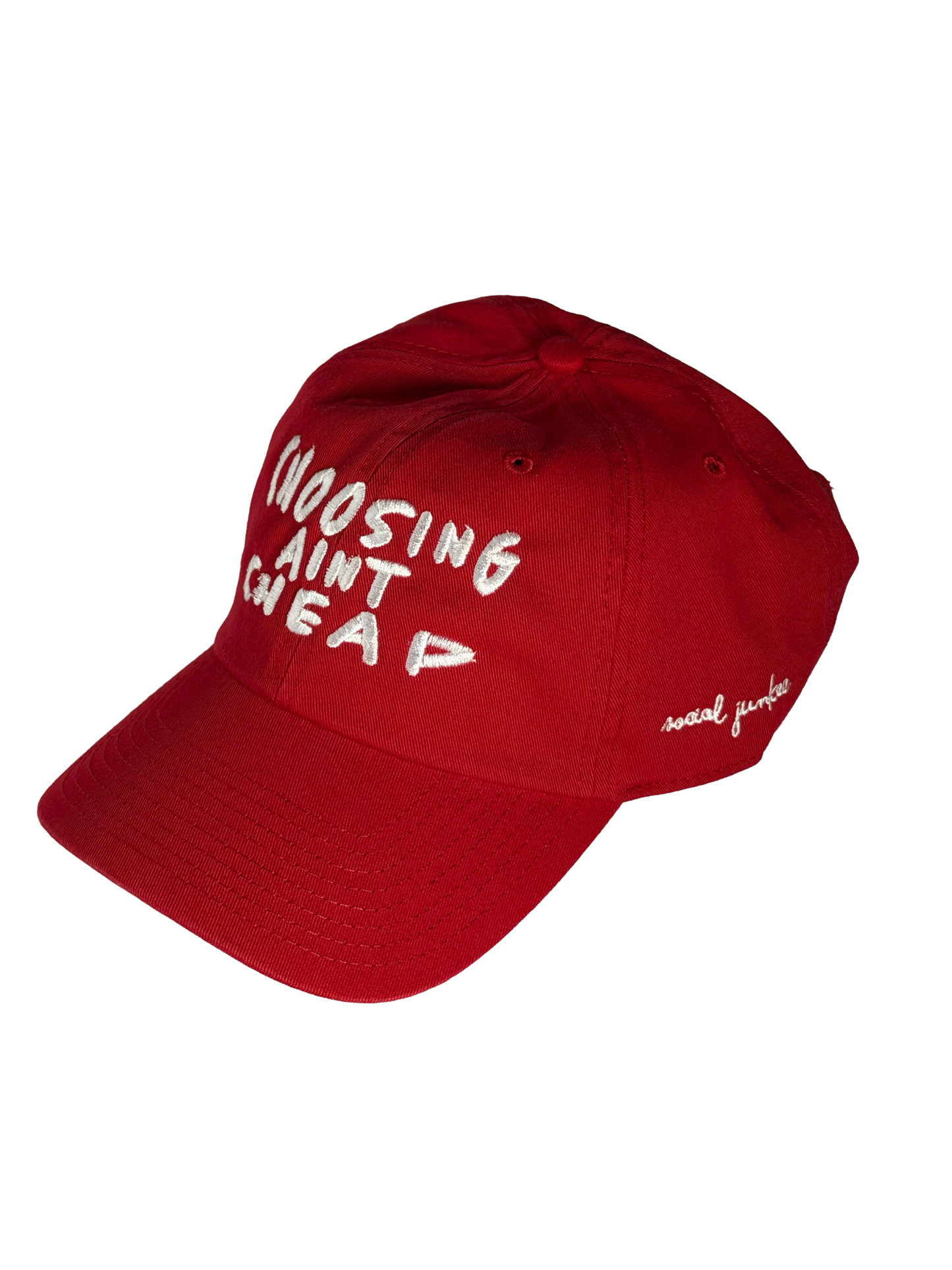 Choosing Aint Cheap